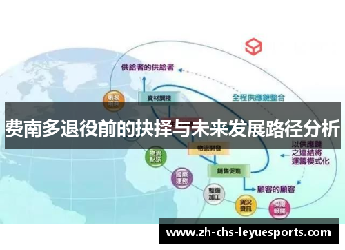 费南多退役前的抉择与未来发展路径分析 费南多退役前的抉择与未来发展路径分析