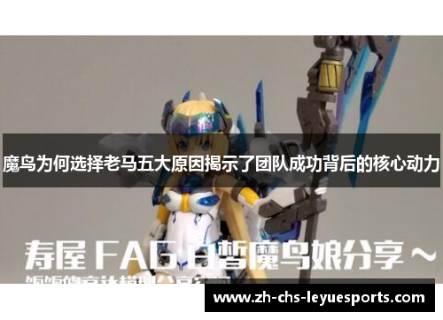 魔鸟为何选择老马五大原因揭示了团队成功背后的核心动力